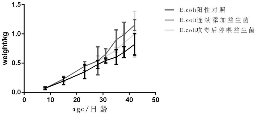 Lactobacillus gasseri against enterohemorrhagic Escherichia coli and the prepared compound probiotic preparation for poultry and application thereof