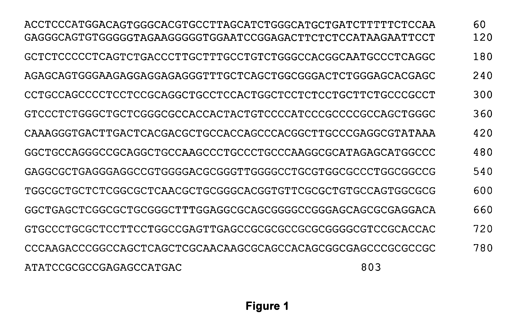 Hepatocellular carcinoma specific promoter and uses thereof