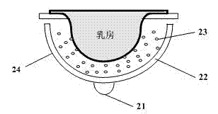 Bowl-type photoacoustic imaging breast scanning device and scanning method thereof