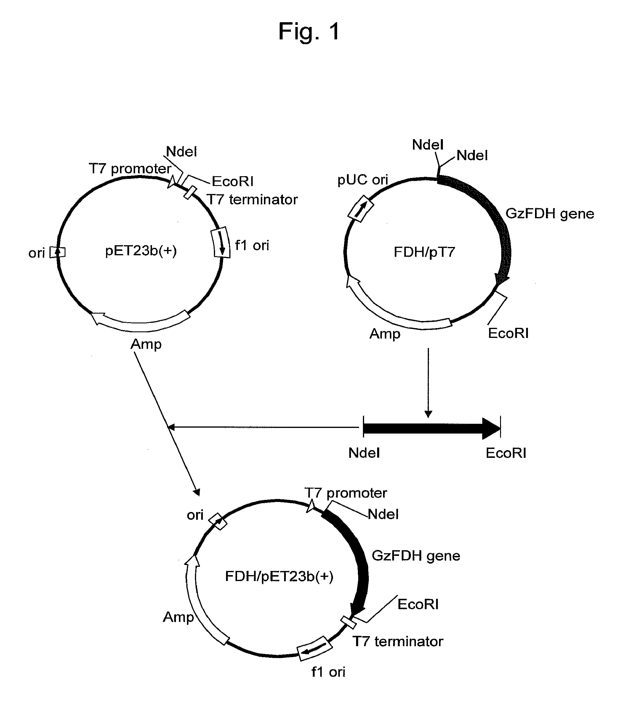 Solution for cell-free protein synthesis, kit for cell-free protein synthesis, and method of protein synthesis