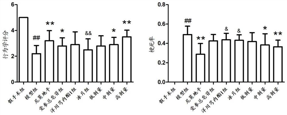 A pharmaceutical composition for treating ischemic stroke and its application