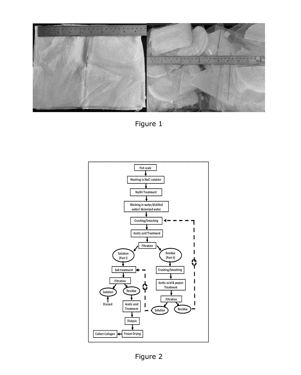 Process for extraction of fish collagen and formulations of 3D matrices of collagen for biomedical and therapeutic applications thereof