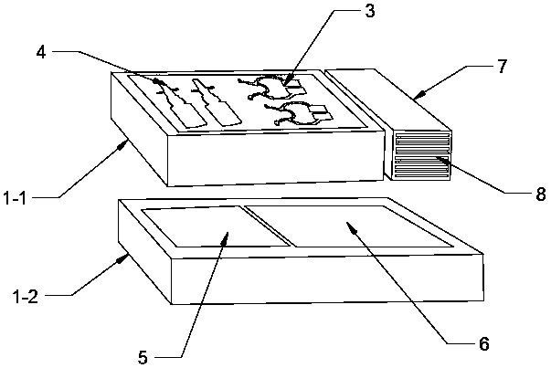 Quick non-invasive nasal mucus sampling box for experimental research and use method and application of quick non-invasive nasal mucus sampling box for experimental research