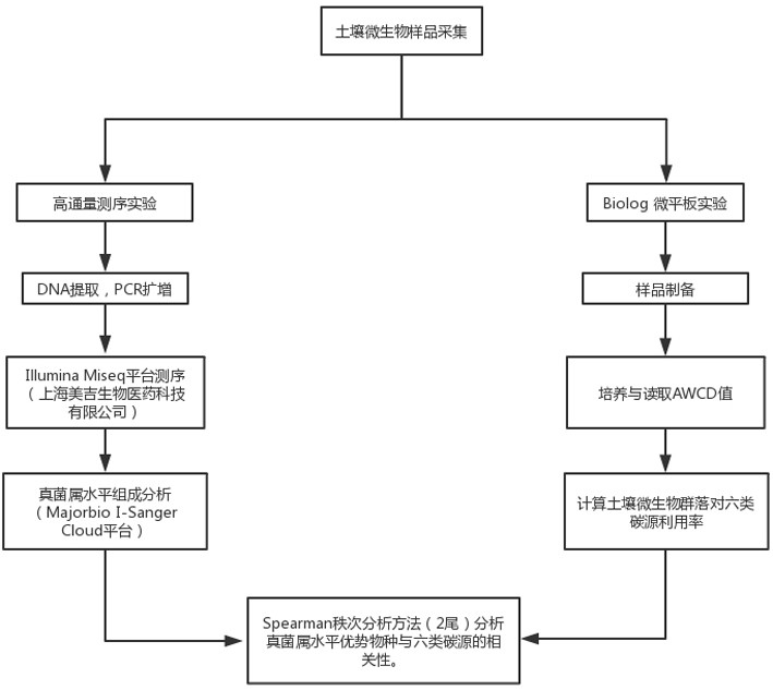 Method for analyzing relation between mountain soil fungal species and carbon metabolism by combining high-throughput sequencing technology and Biolog method