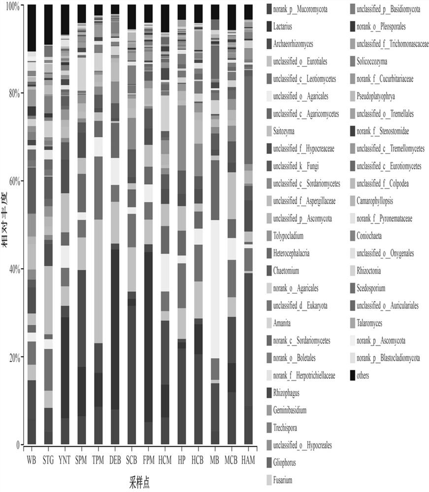 Method for analyzing relation between mountain soil fungal species and carbon metabolism by combining high-throughput sequencing technology and Biolog method