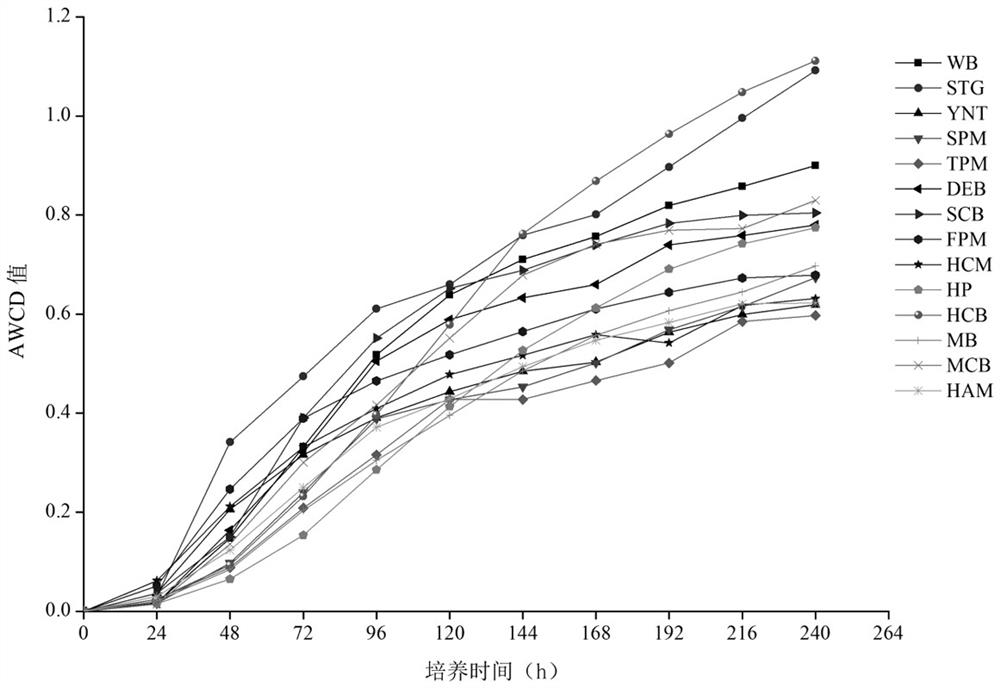 Method for analyzing relation between mountain soil fungal species and carbon metabolism by combining high-throughput sequencing technology and Biolog method