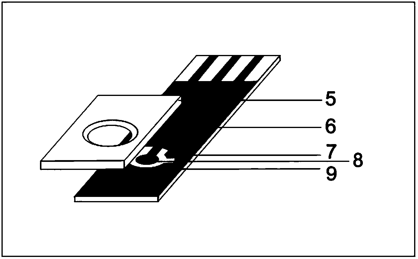 Electrochemical cell based on in-situ EC-SERS (electrochemical-surface enhanced raman scattering) spectrum chip and detection method of electrochemical cell