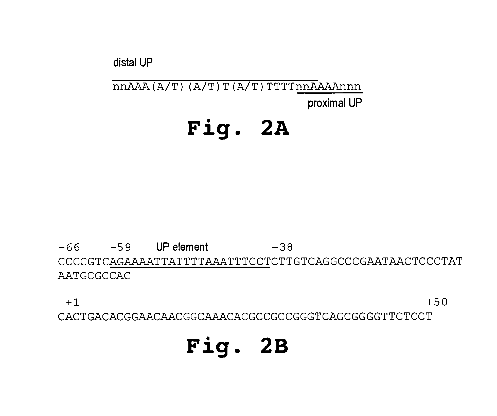 DNA binding compound-mediated molecular switch system