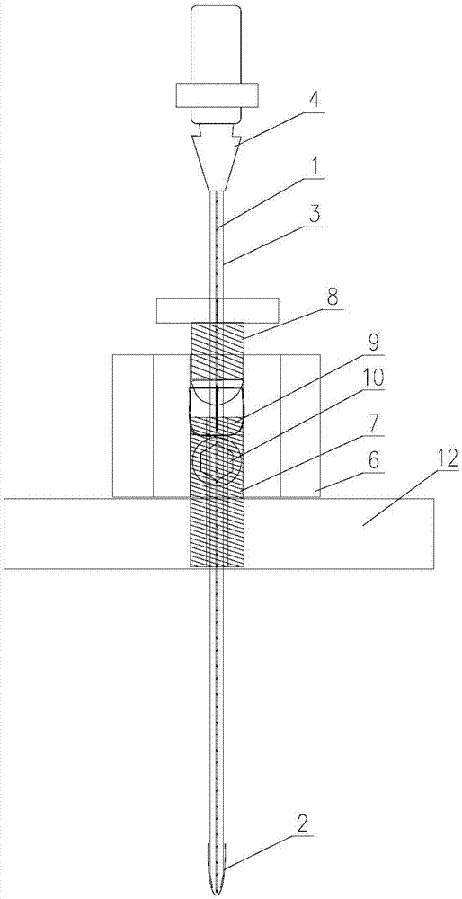 Balloon model device for simulating intracranial mass effect