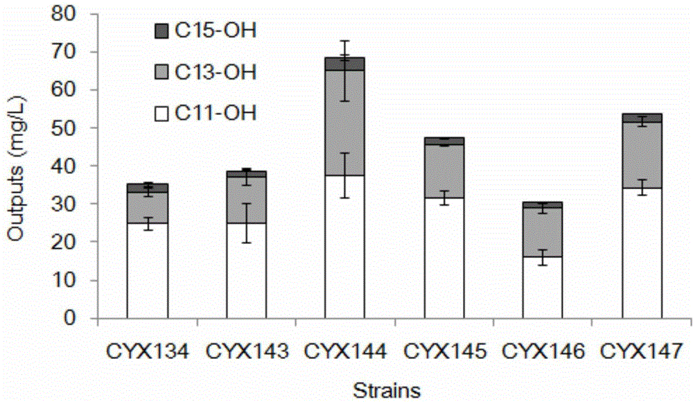 Gene and application, gene element, method for synthesizing odd-numbered medium chain fatty aldehyde and method for synthesizing even-numbered medium chain fatty hydrocarbon