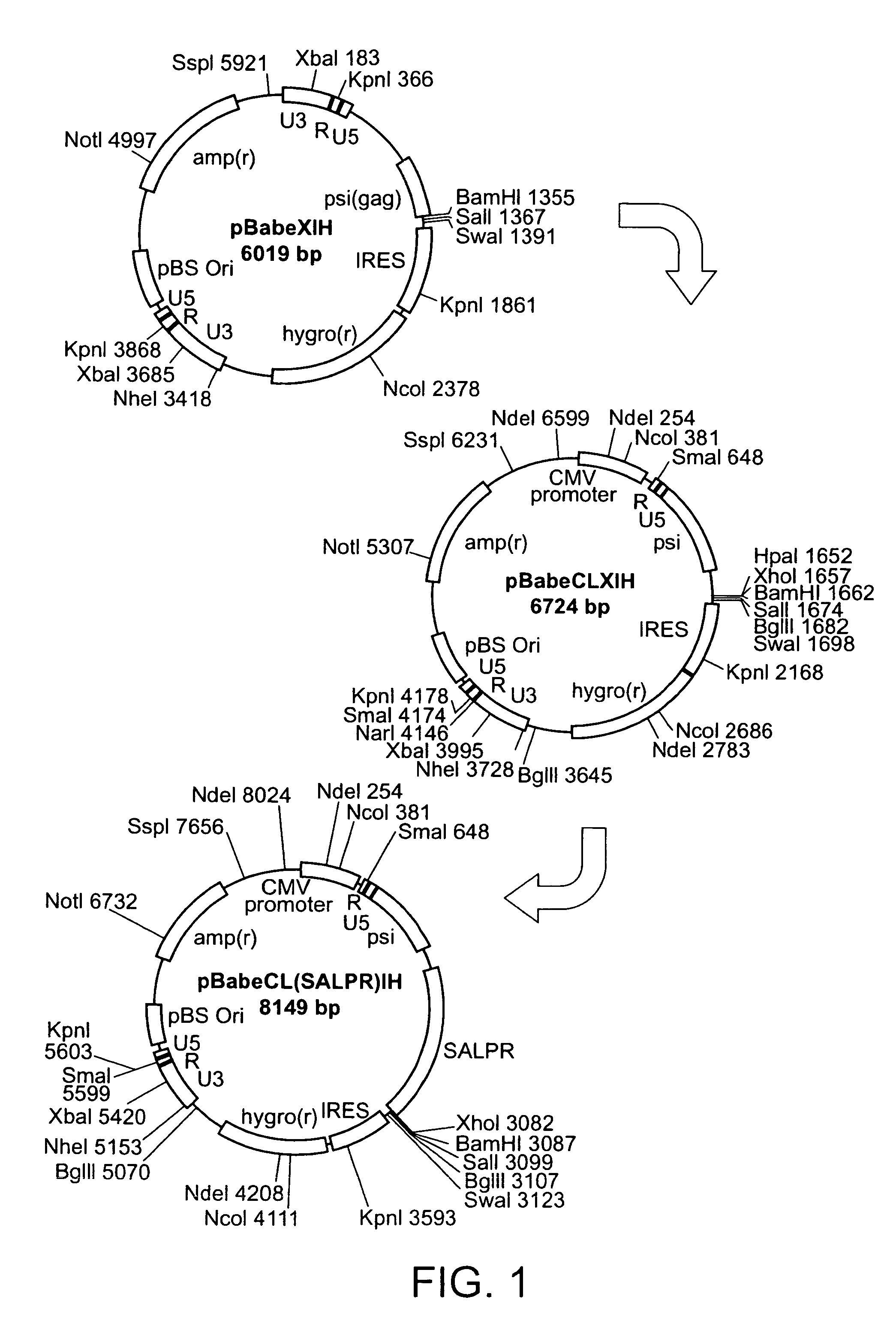 Screening method