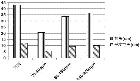 Application of Inducer in Controlling Potato Scab