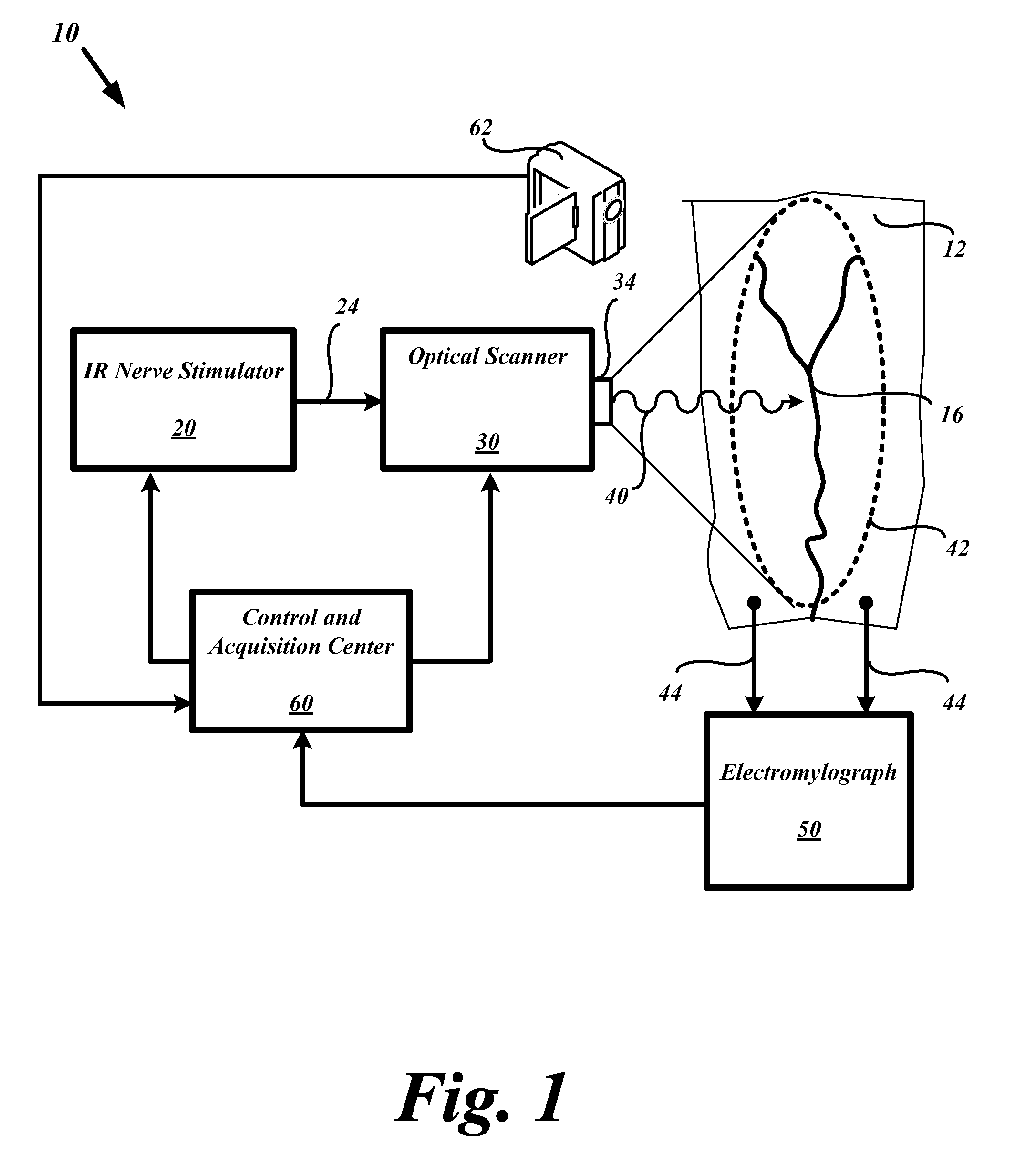 System and methods for nerve response mapping