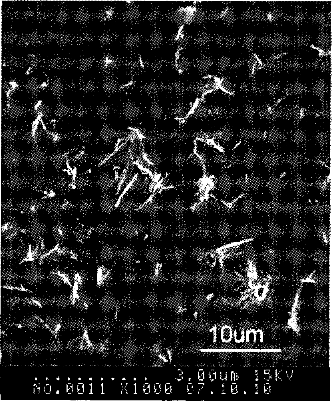 Method for separating and extracting fibrillar structure body in natural keratin fiber with organic acid solvent