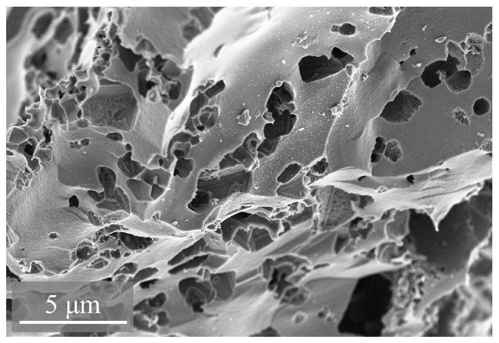 Nitrogen-doped porous carbon material prepared from traditional Chinese medicine residues and preparation method and application thereof