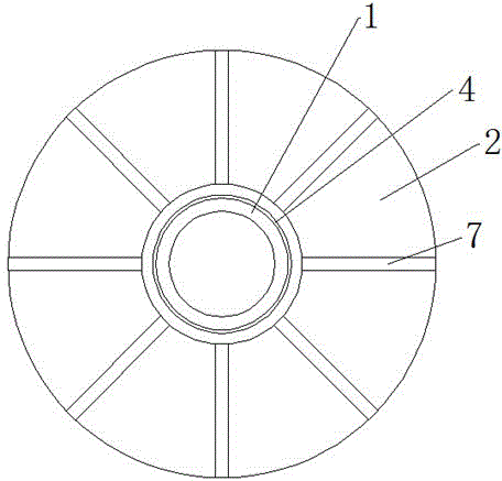 A check valve plate for a filter