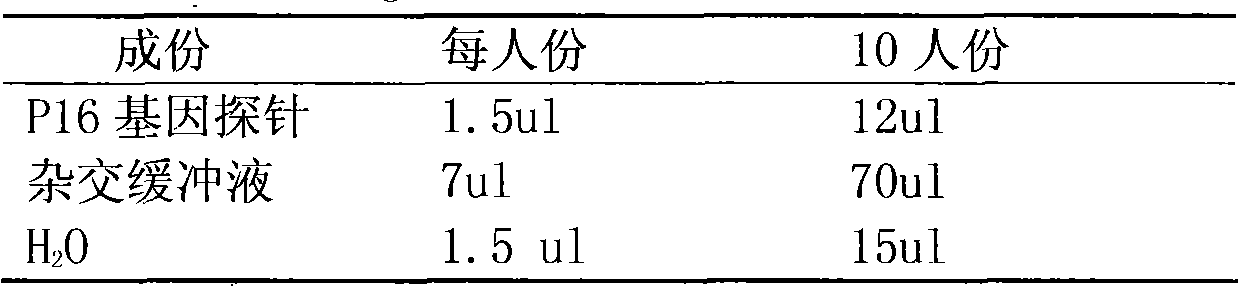 Method for preparing human chromosome P16 gene probe and application thereof