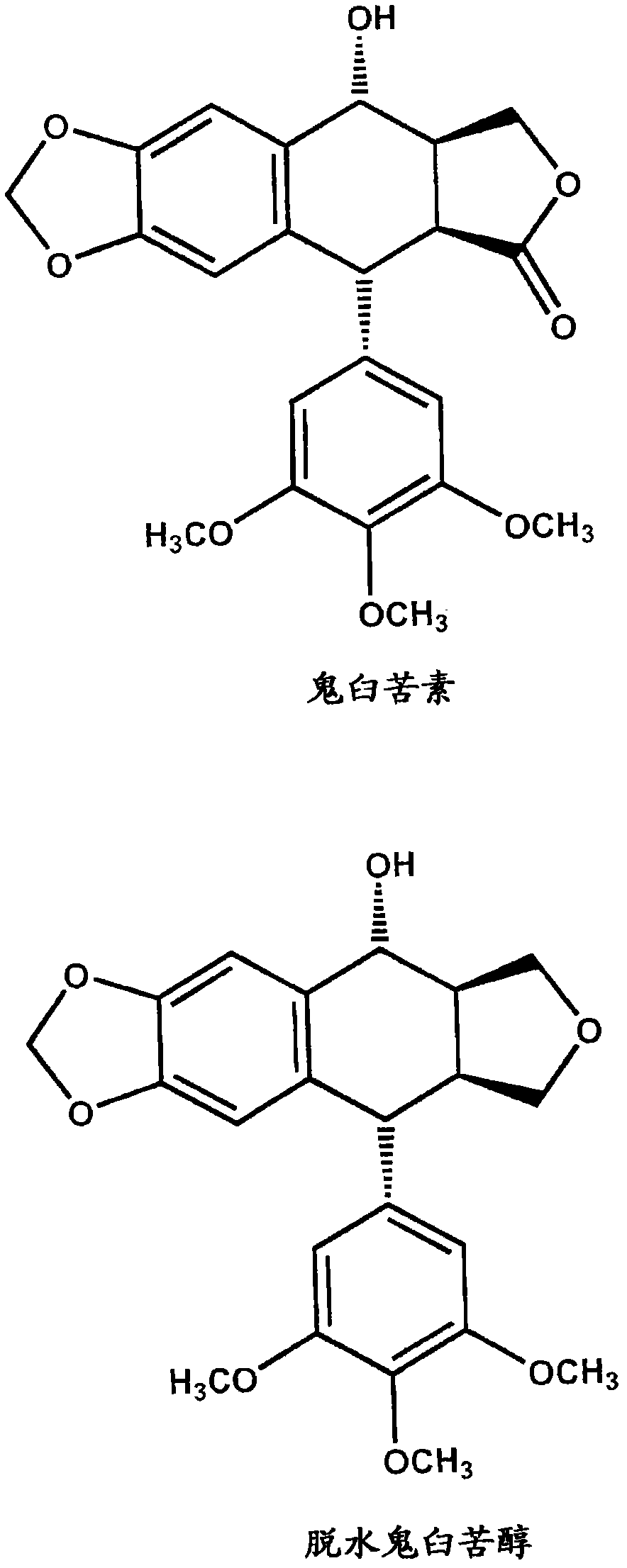 Use of cyclolignans for the treatment of a hyperactive immune system