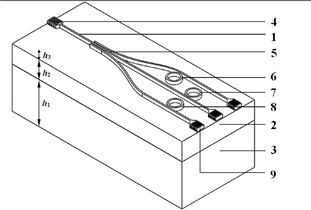 A tricyclic athermal biosensor