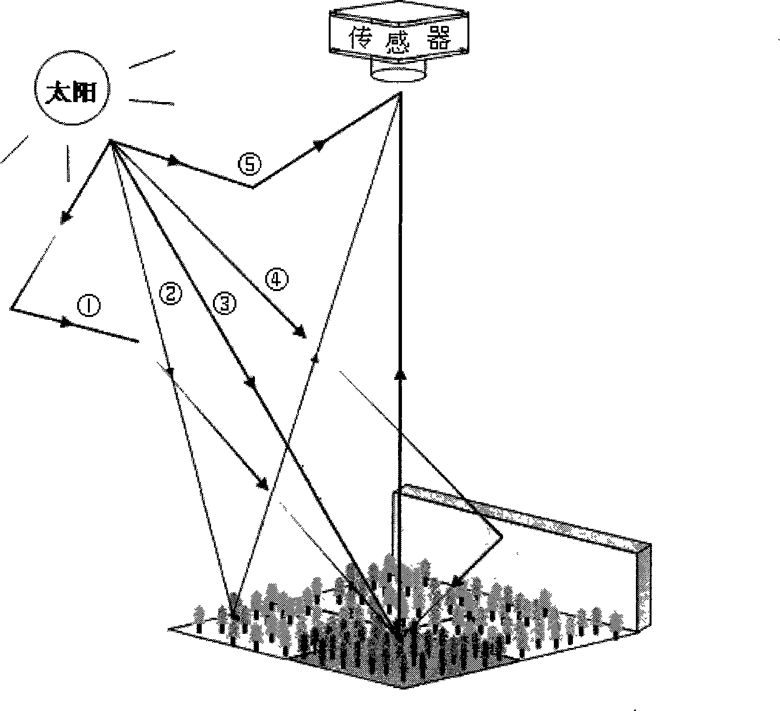 Simulation method used for woodland complex scene high-spectrum remote sensing data