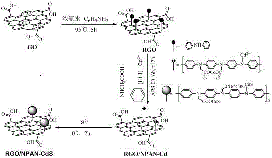Method for preparing modified polyaniline grafted functionalized graphene composite cadmium sulfide quantum dots