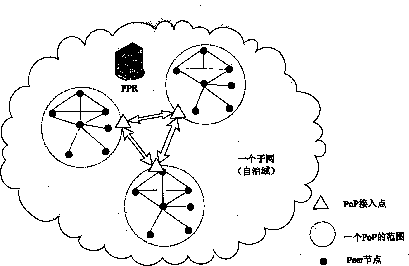 P2P traffic-optimized network system