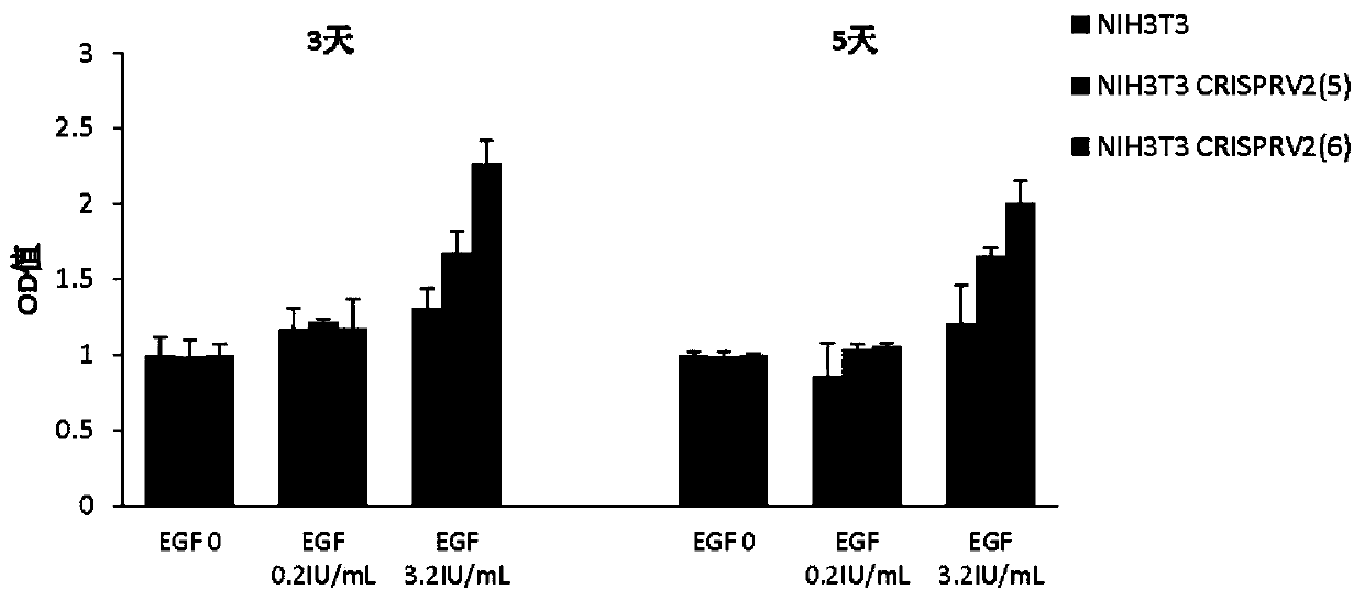 High-reactivity cell strain for detecting biologic activity of recombinant human epidermal growth factors