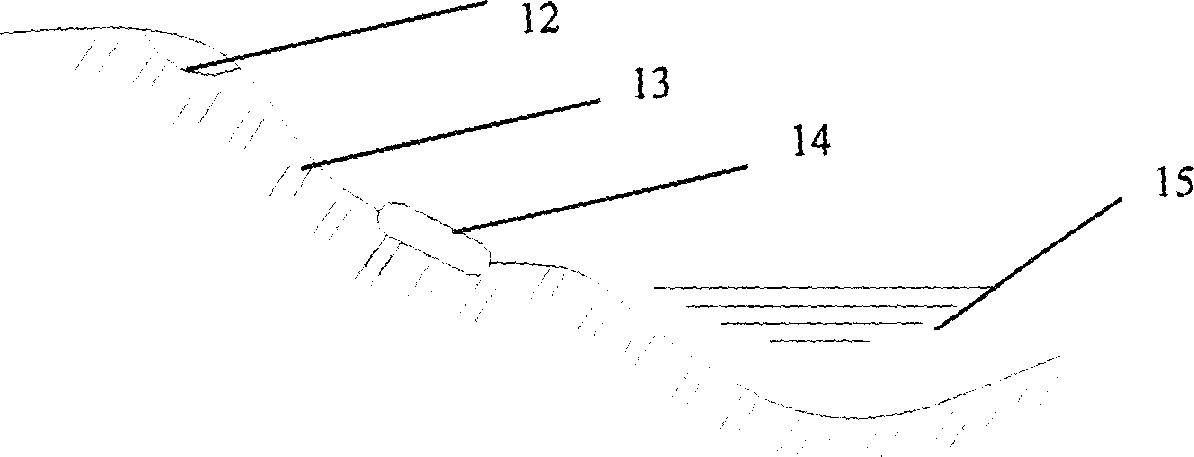 Method of 3D multi counter current wetland for treating pollution of area source drained into rivers, and refining river water