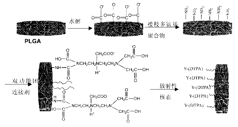 Radionuclide-labelled biodegradable bioabsorbable biopolymer nano fibrous membrane, preparation process and application thereof