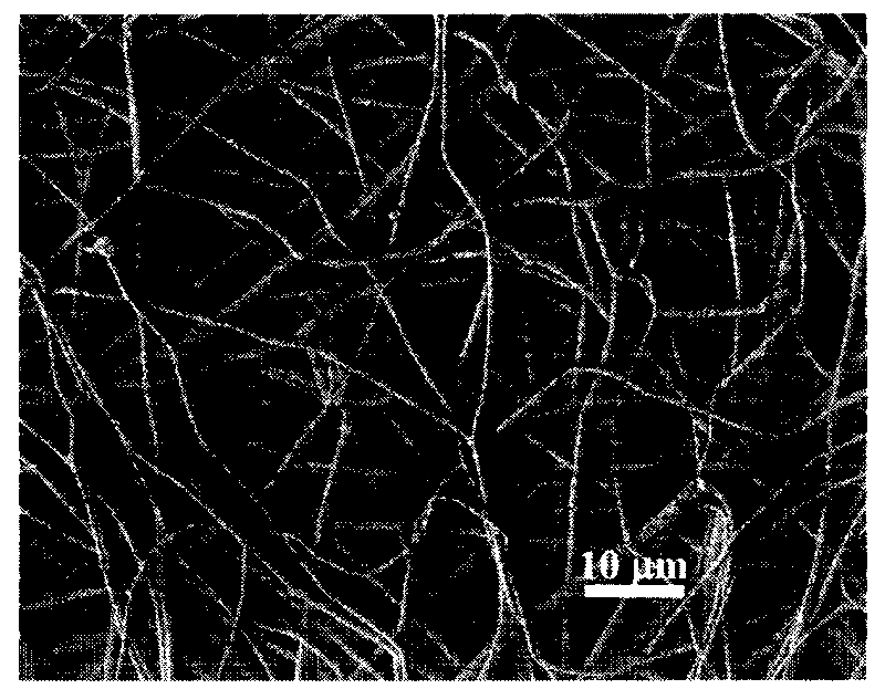 Radionuclide-labelled biodegradable bioabsorbable biopolymer nano fibrous membrane, preparation process and application thereof