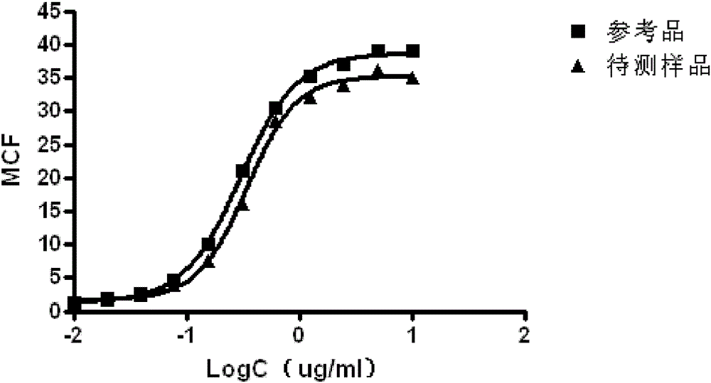 A method for detecting the binding activity of anti-CD20 monoclonal antibody