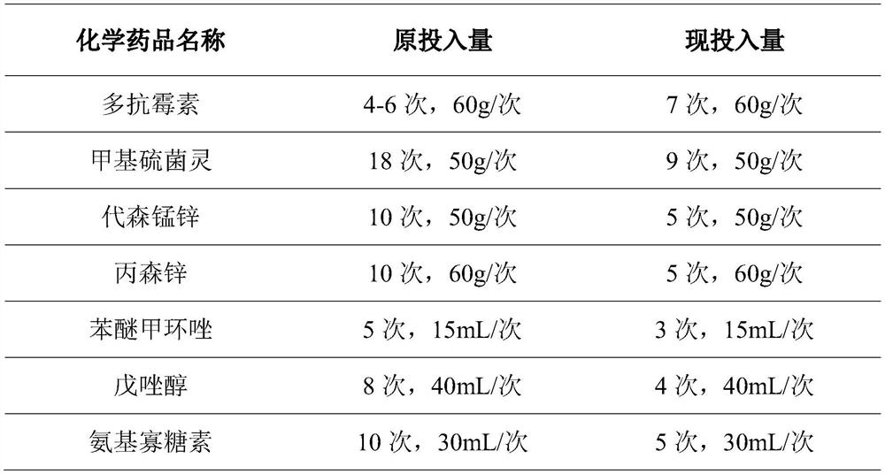 Microbial agent composition for planting pseudo-ginseng and use method of microbial agent composition