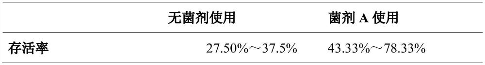 Microbial agent composition for planting pseudo-ginseng and use method of microbial agent composition