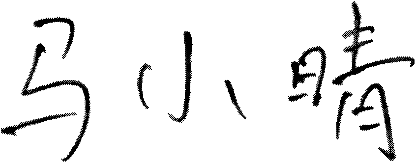 Off-line handwritten signature recognition method based on non-negative matrix factorization
