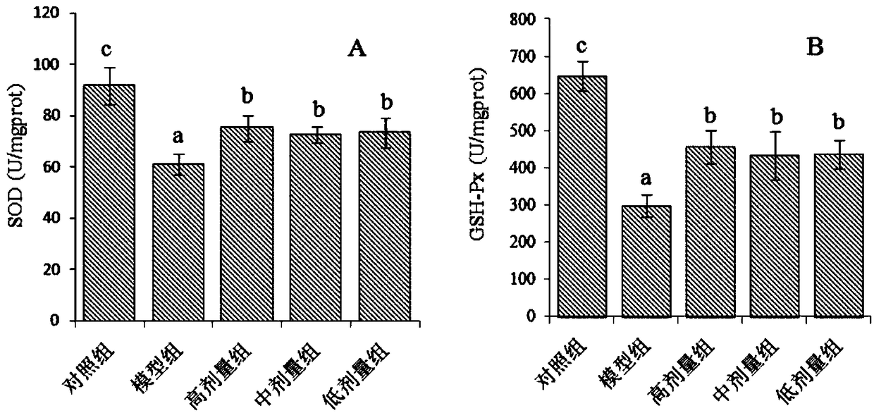Application of osrodendranthus spicatus(Thunb.)C.Y.Wu leaf extract