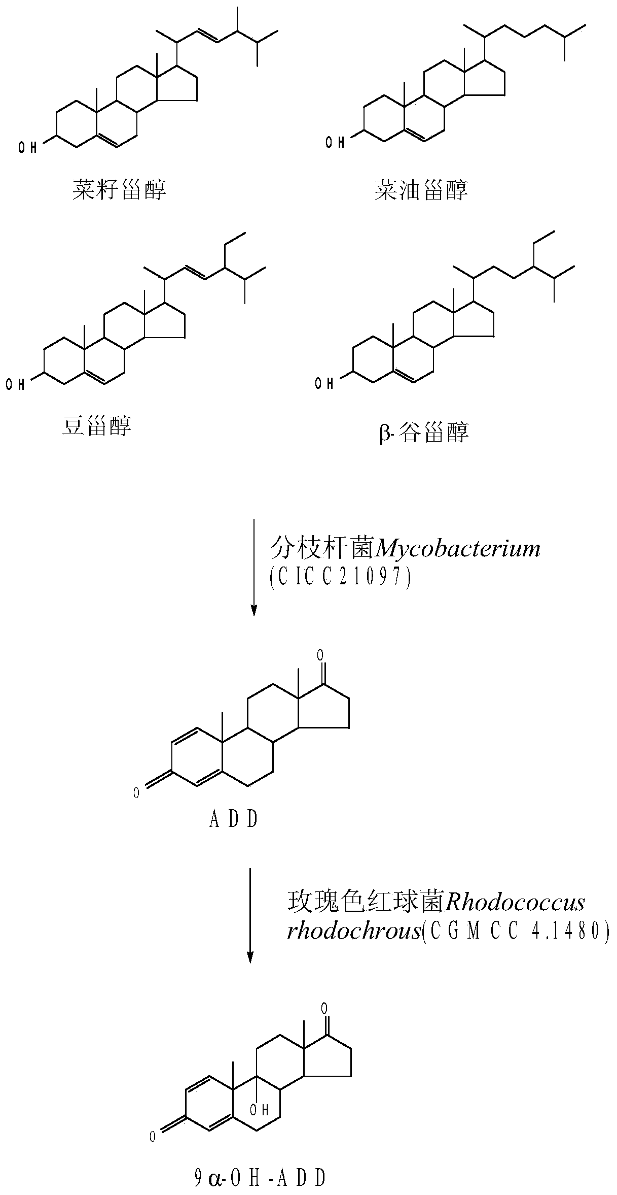 A kind of method for preparing 9α-hydroxy-androst-1,4-diene-3,17-dione