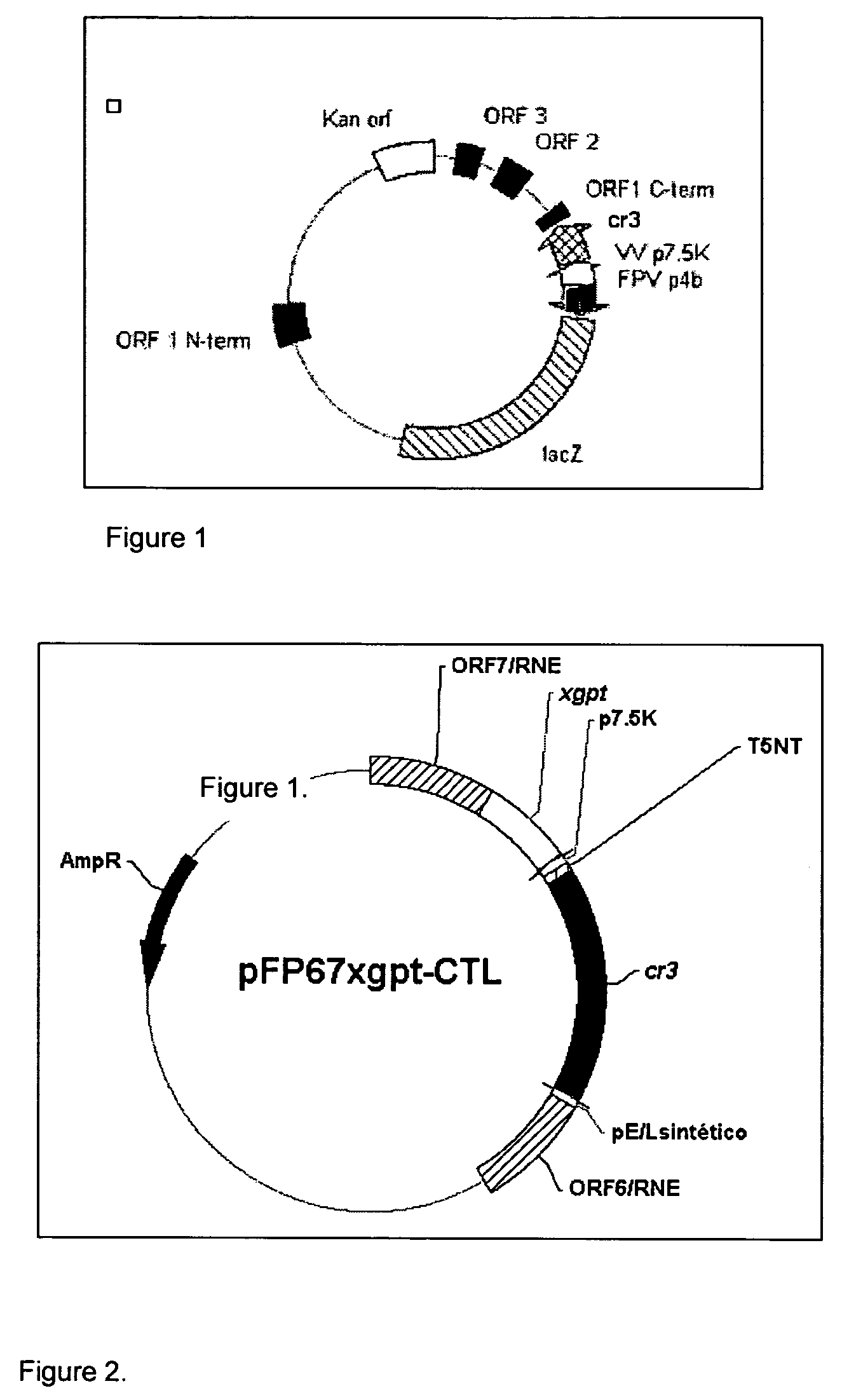 Recombinant poxvirus for chimeric proteins of the human immunodeficiency virus