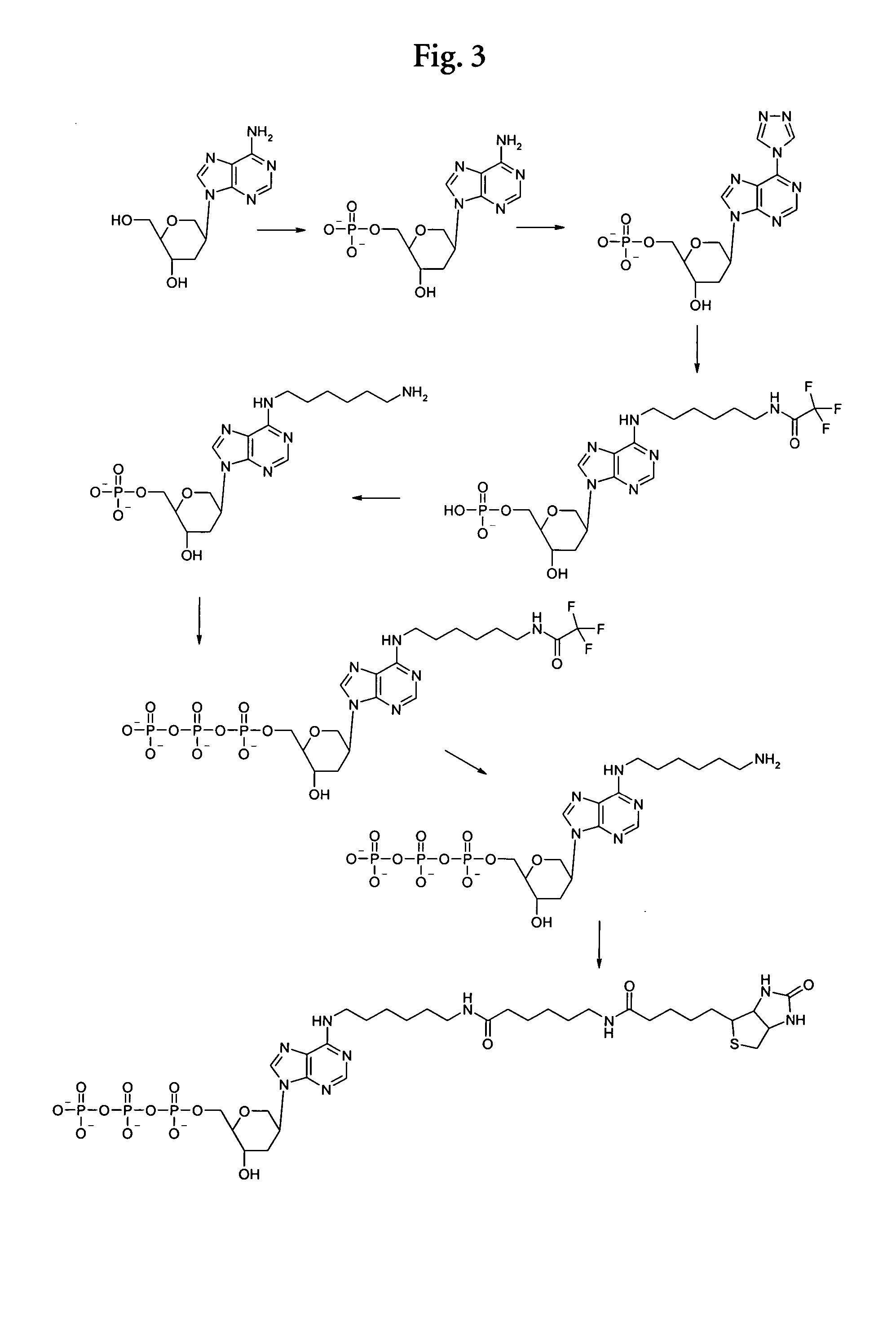 Nucleotide analogs with six-membered rings