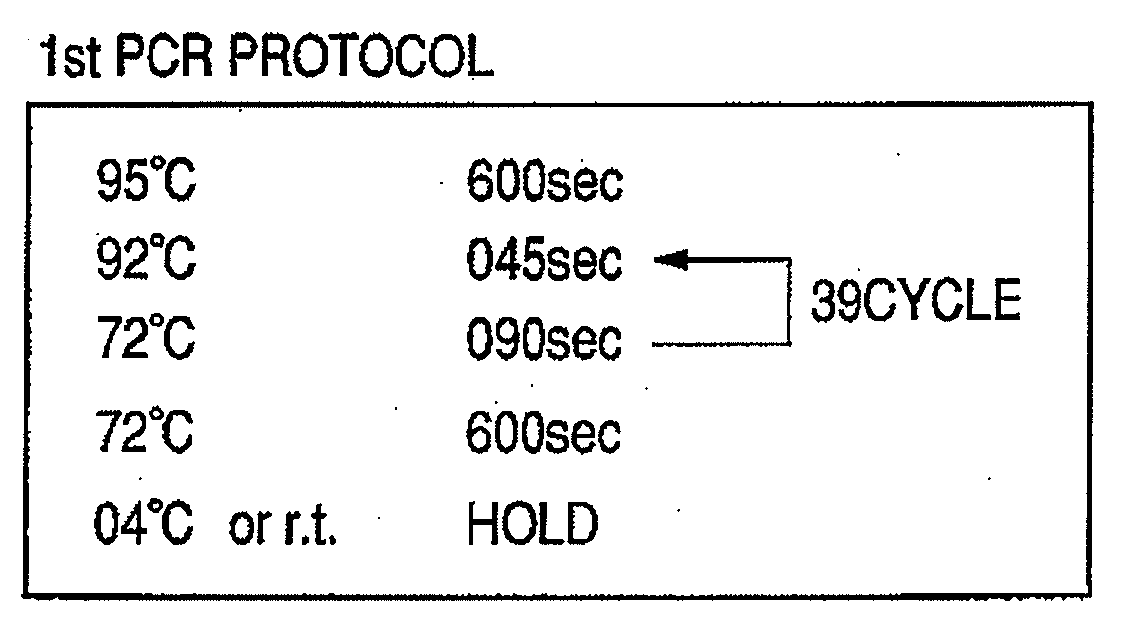 Probe, probe set, probe-immobilized carrier, and genetic testing method
