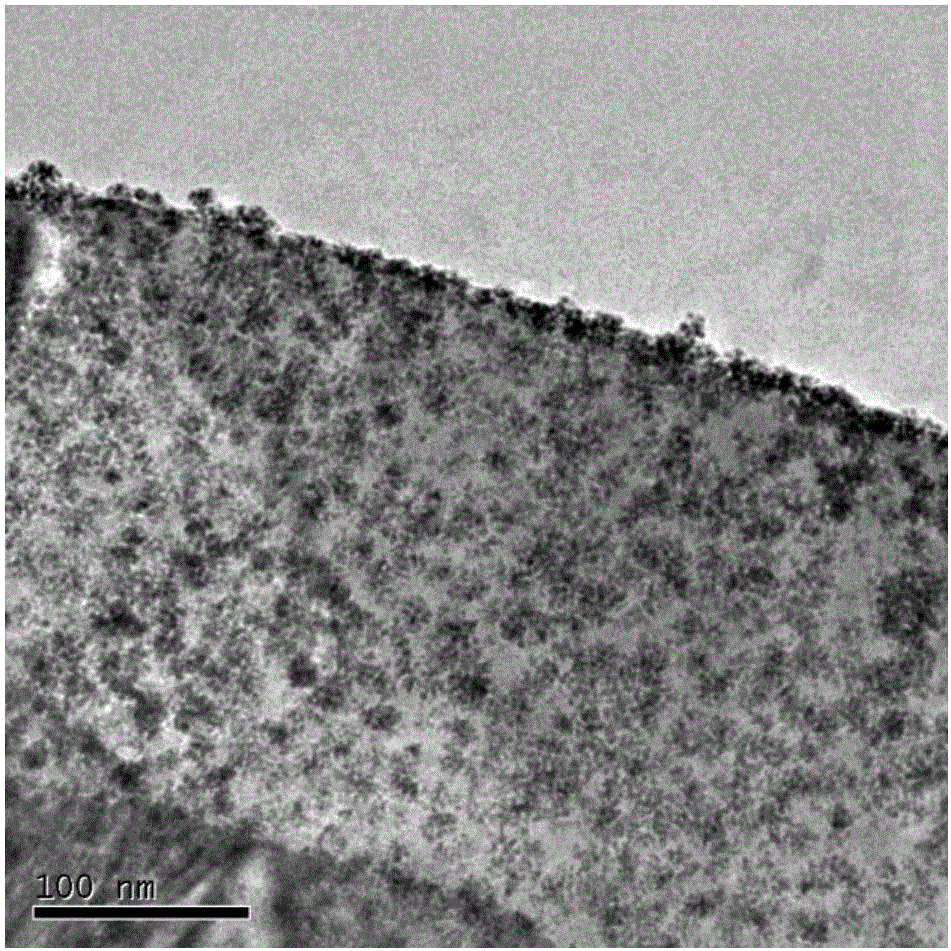 Application of copper oxide-platinum nanocomposite in antibiosis