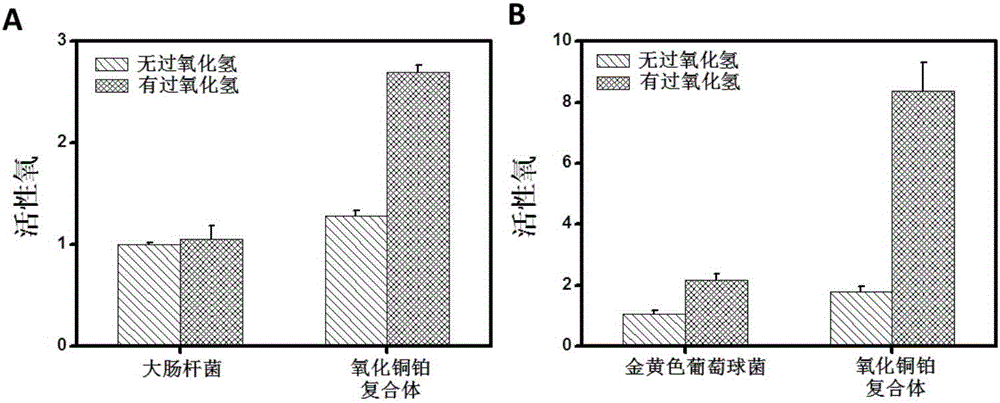 Application of copper oxide-platinum nanocomposite in antibiosis