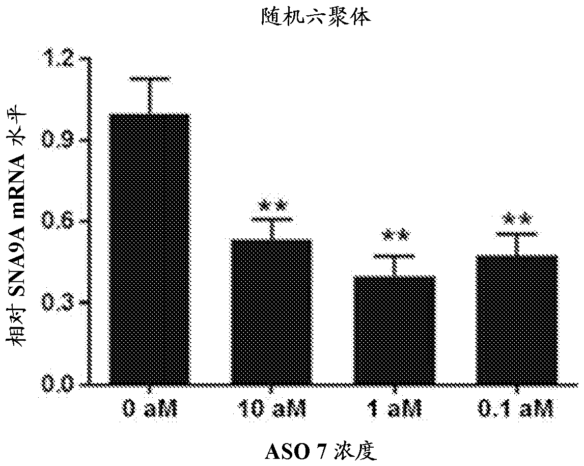 Scn9a antisense pain killer