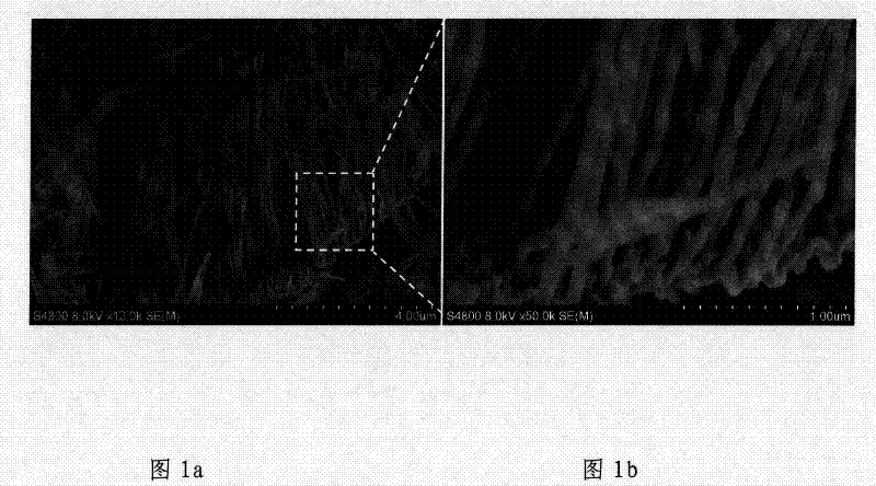 A nano-cable composed of magnetic material and semi-metallic material and its preparation method