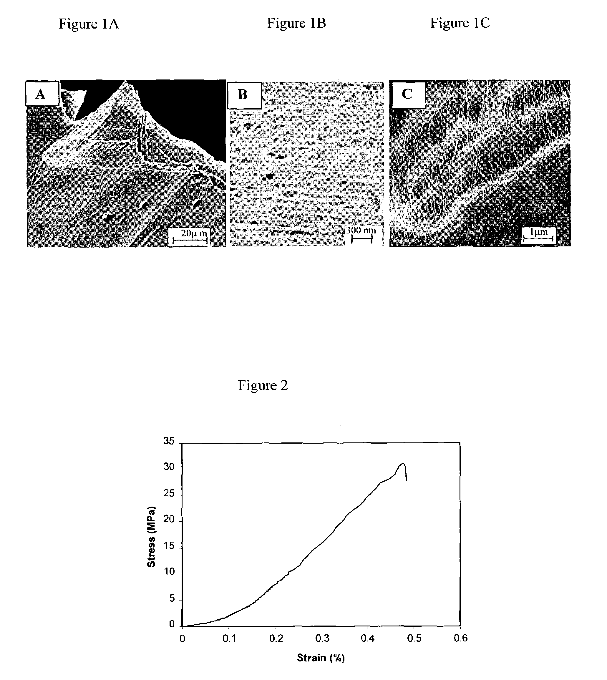 Single-wall carbon nanotube film having high modulus and conductivity and process for making the same
