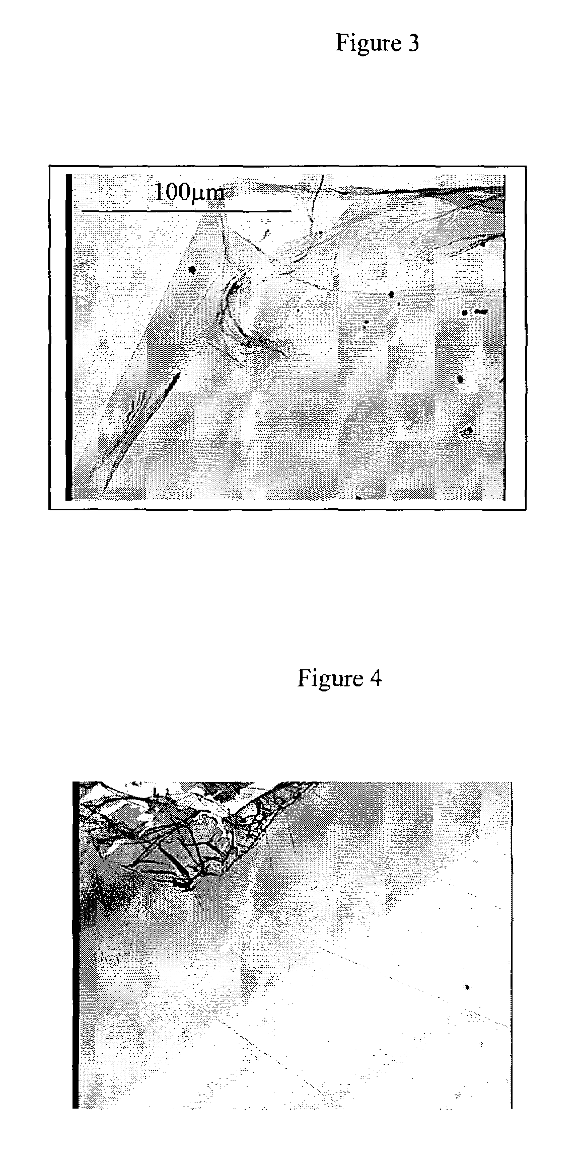 Single-wall carbon nanotube film having high modulus and conductivity and process for making the same
