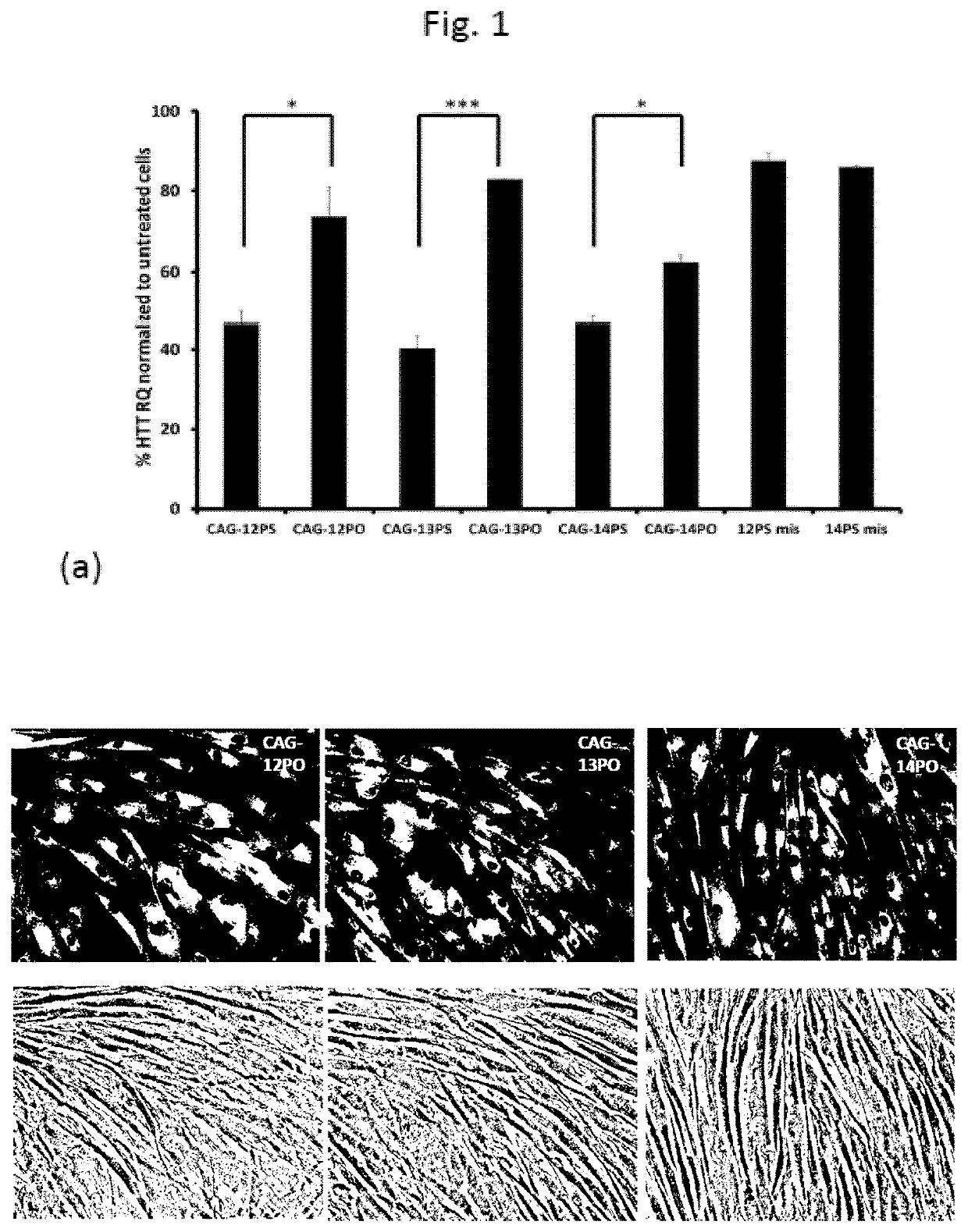 Therapeutic method for huntington's disease