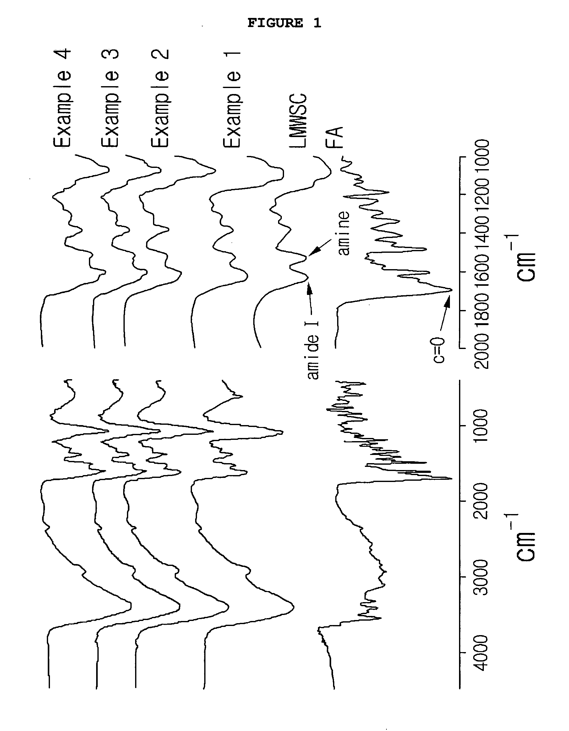 Low-molecular weight, water-soluble chitosan nanoparticle for gene delivery with folic acid conjugaed thereto as target ligand and preparation method thereof