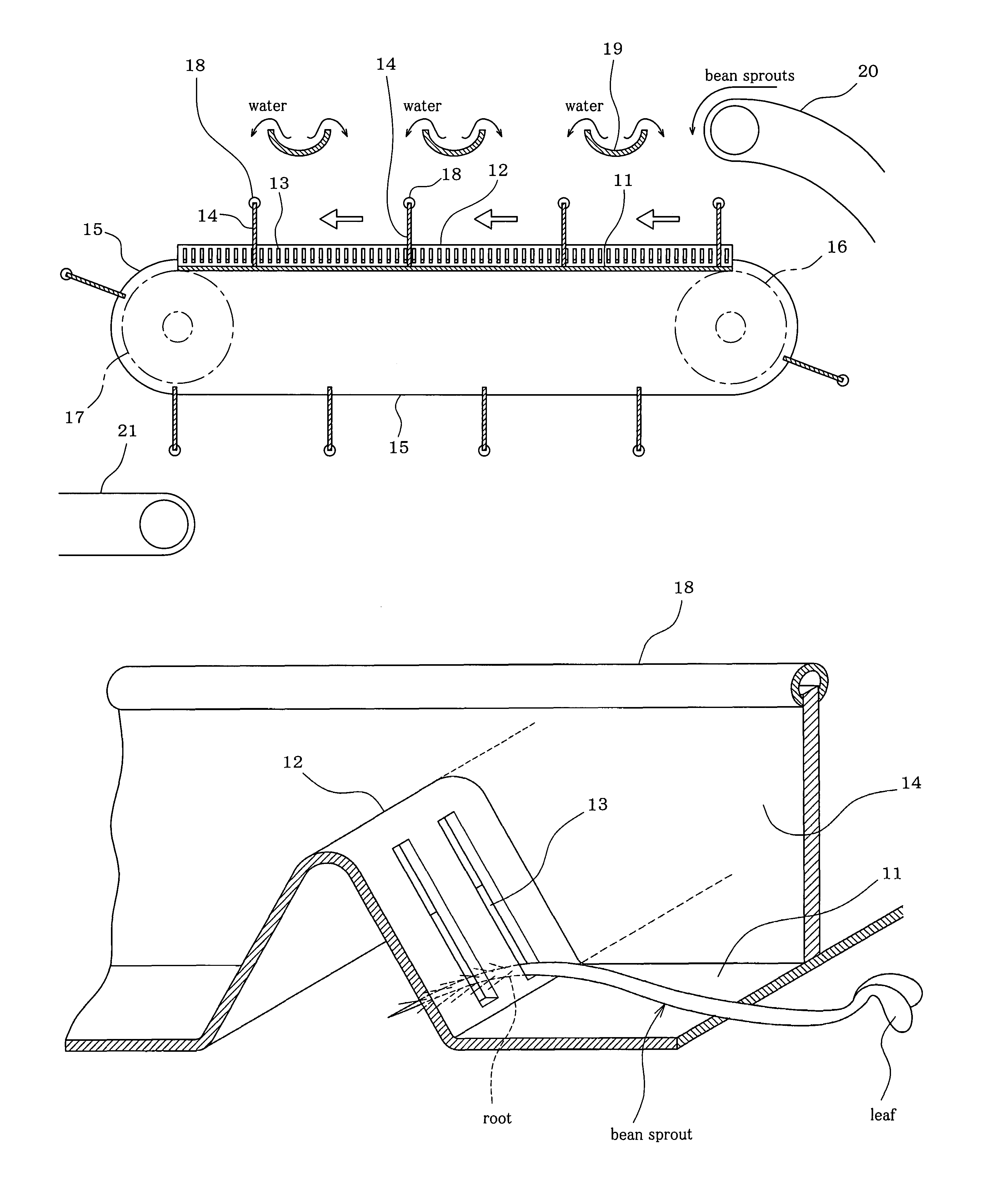 Method and apparatus for severing root of bean sprout