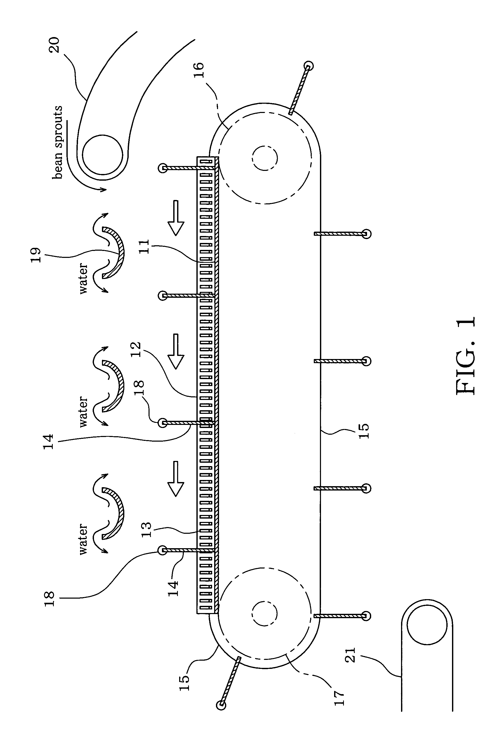 Method and apparatus for severing root of bean sprout