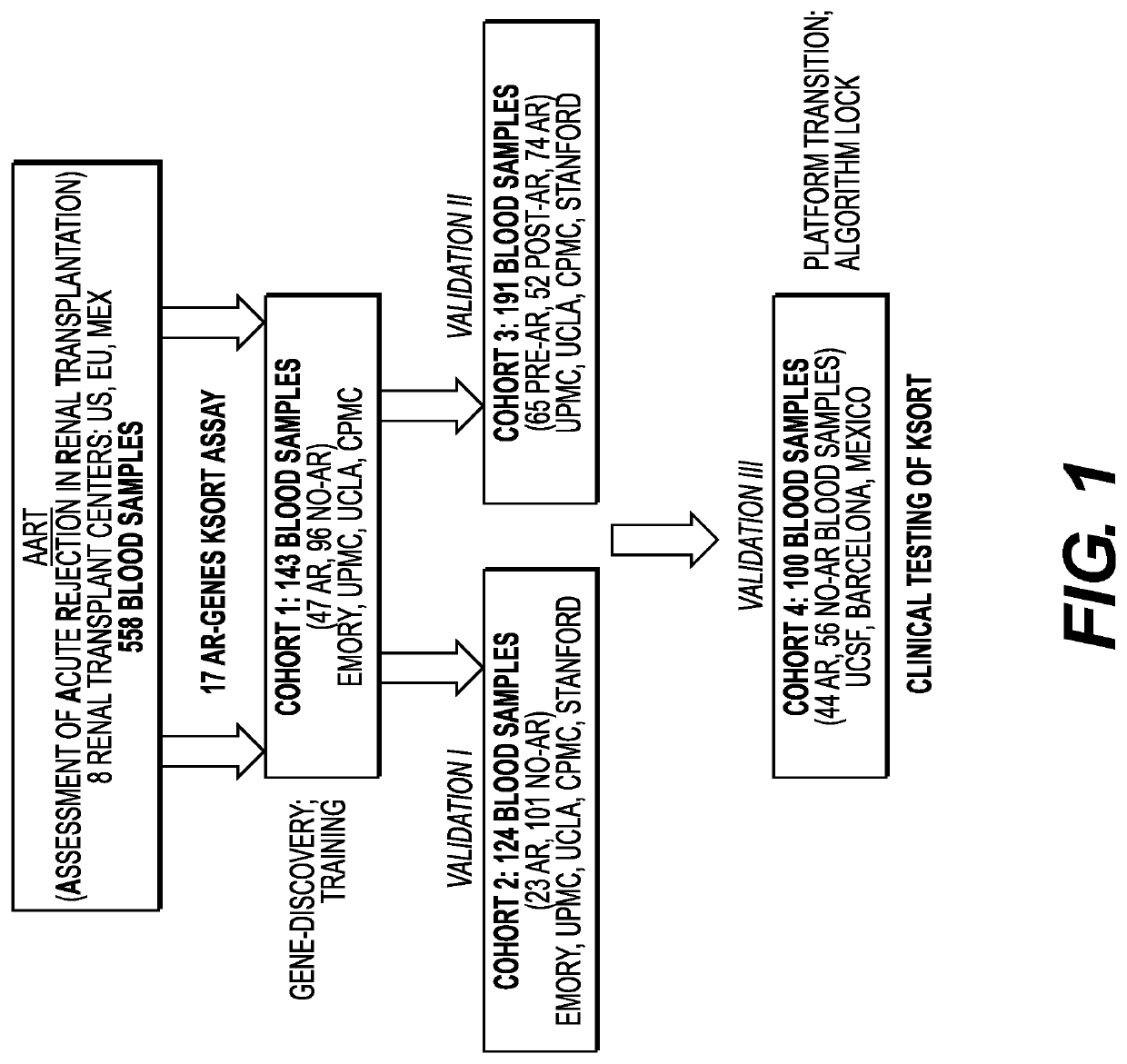 Compositions and methods for assessing acute rejection in renal transplantation